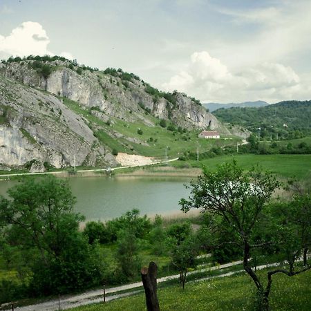 فندق Detached House Milivoje Poscenje المظهر الخارجي الصورة