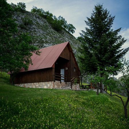 فندق Detached House Milivoje Poscenje المظهر الخارجي الصورة