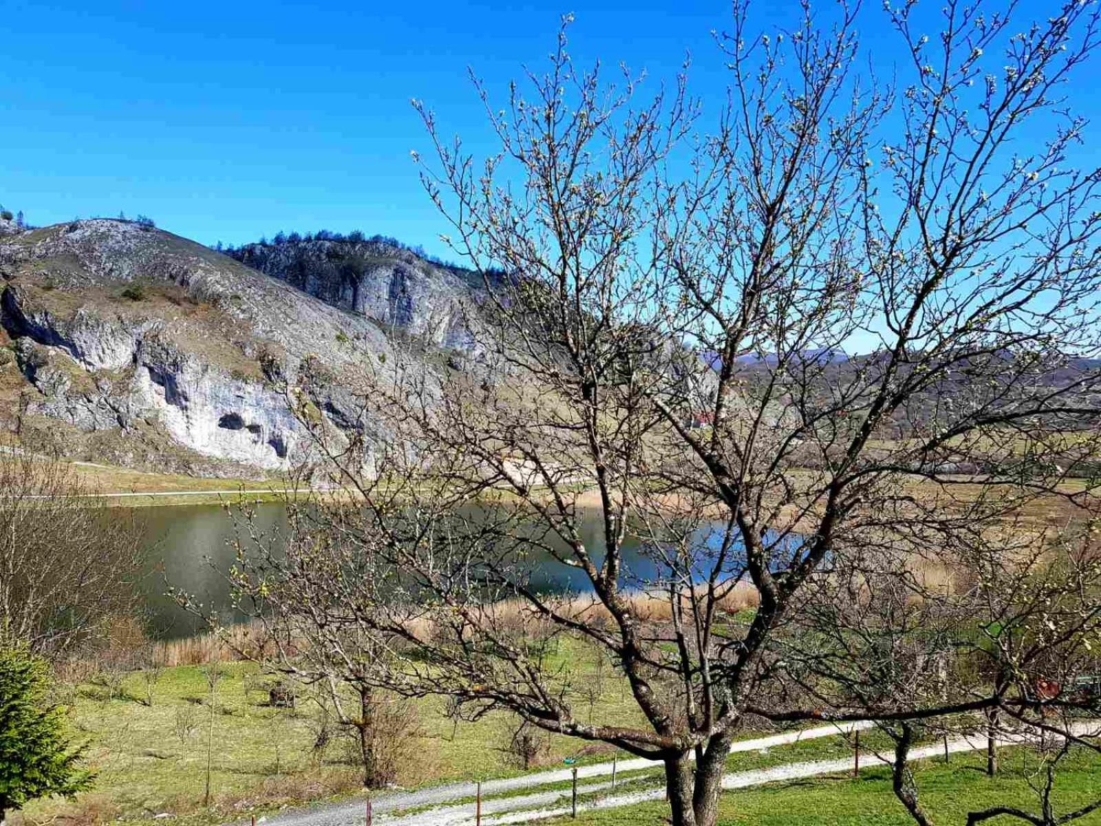 فندق Detached House Milivoje Poscenje المظهر الخارجي الصورة