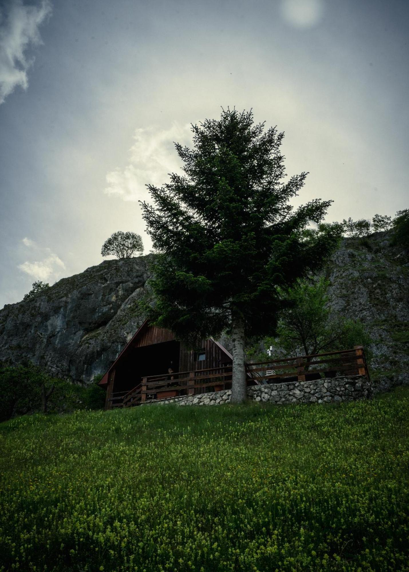 فندق Detached House Milivoje Poscenje المظهر الخارجي الصورة