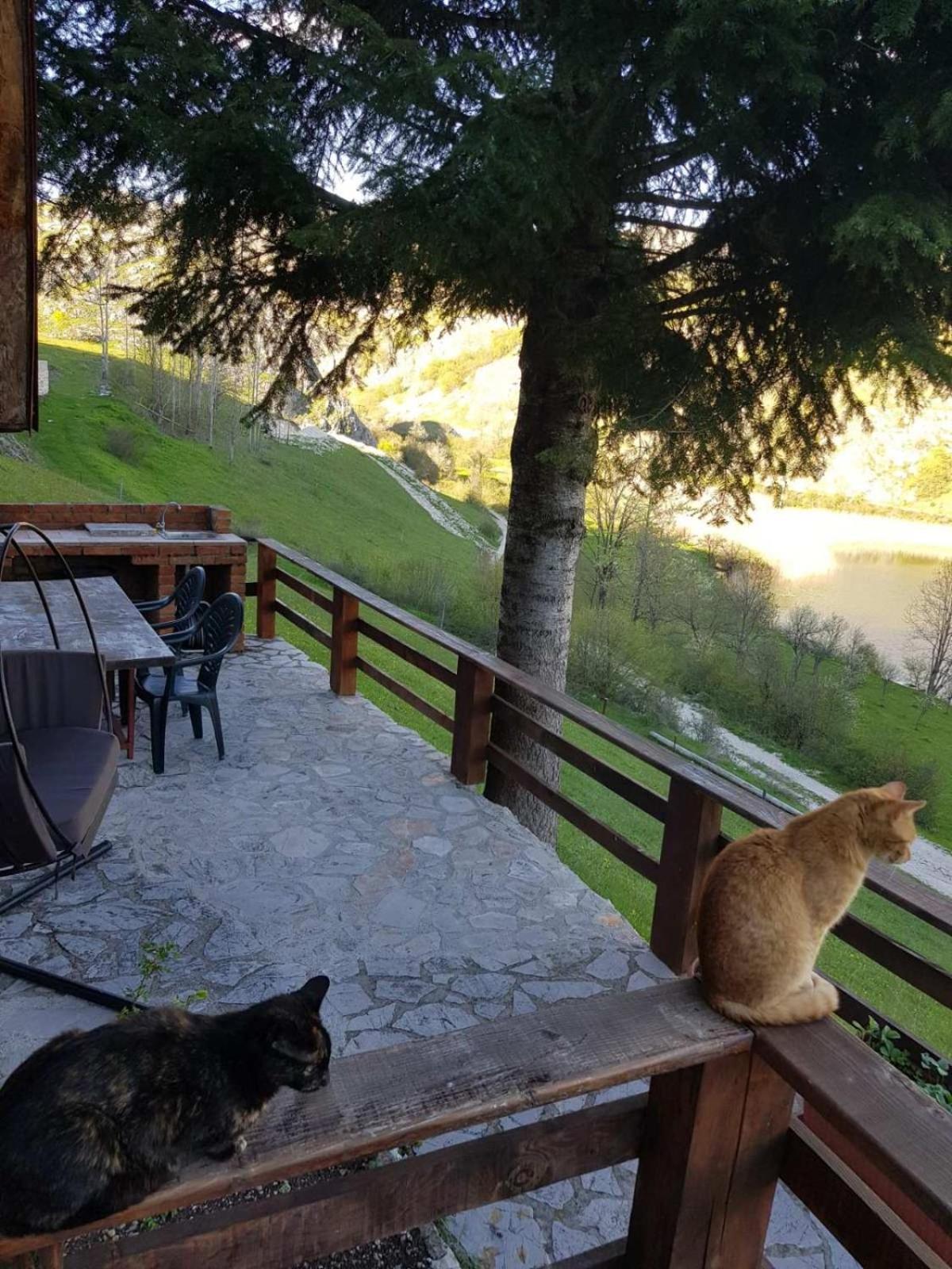 فندق Detached House Milivoje Poscenje المظهر الخارجي الصورة